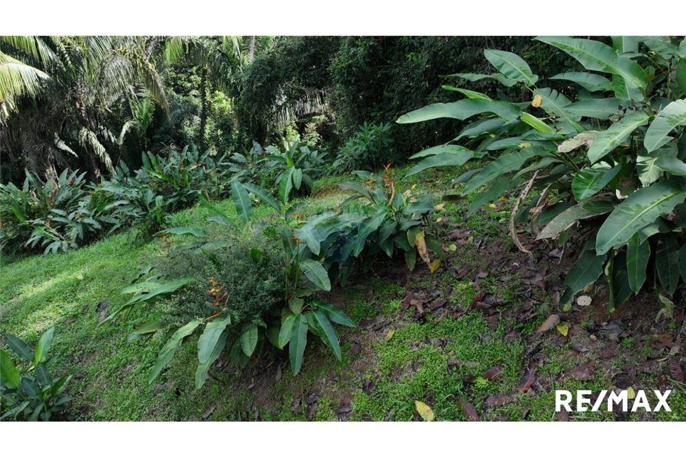 Comercial - Terreno - Parrita, Puntarenas - Parrita, Costa Rica - Caribbean & Central Ameri - 2 - 90168045-21