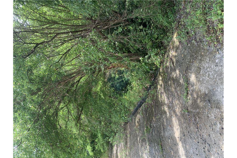 Commercial - Land - Gros Islet, Gros-Islet, St Lucia - Caribbean & Central Ameri - 1 - 902071001-212