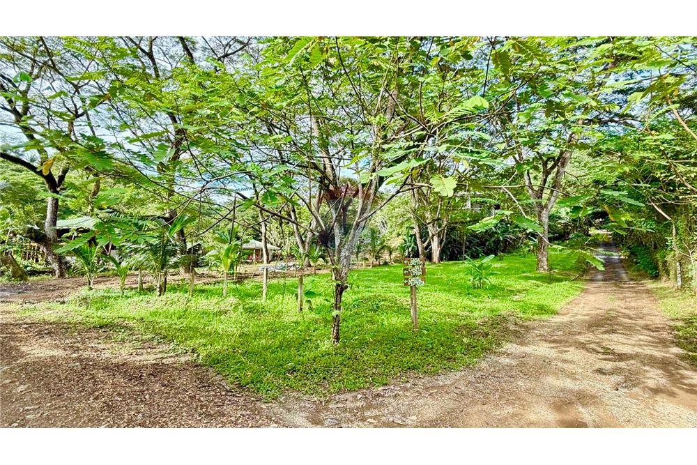 Commercial - Land - Jaco - Jaco, Puntarenas- Garabito, Costa Rica - Caribbean & Central Ameri - 1 - 90168015-205
