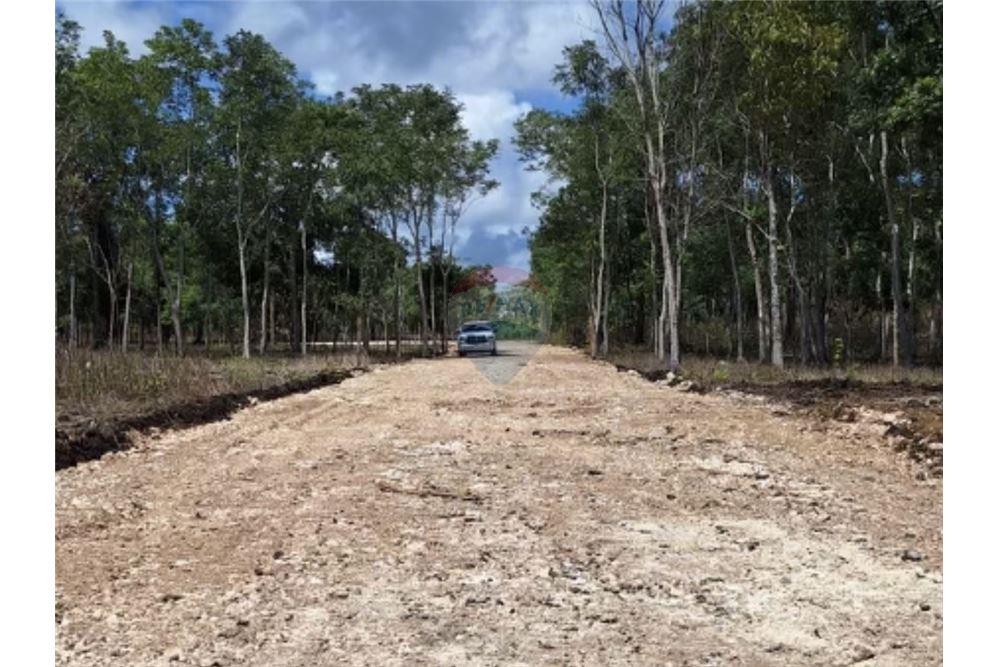 Lote - Venta - San Francisco, Petén, Guatemala - 7 - 902691018-26