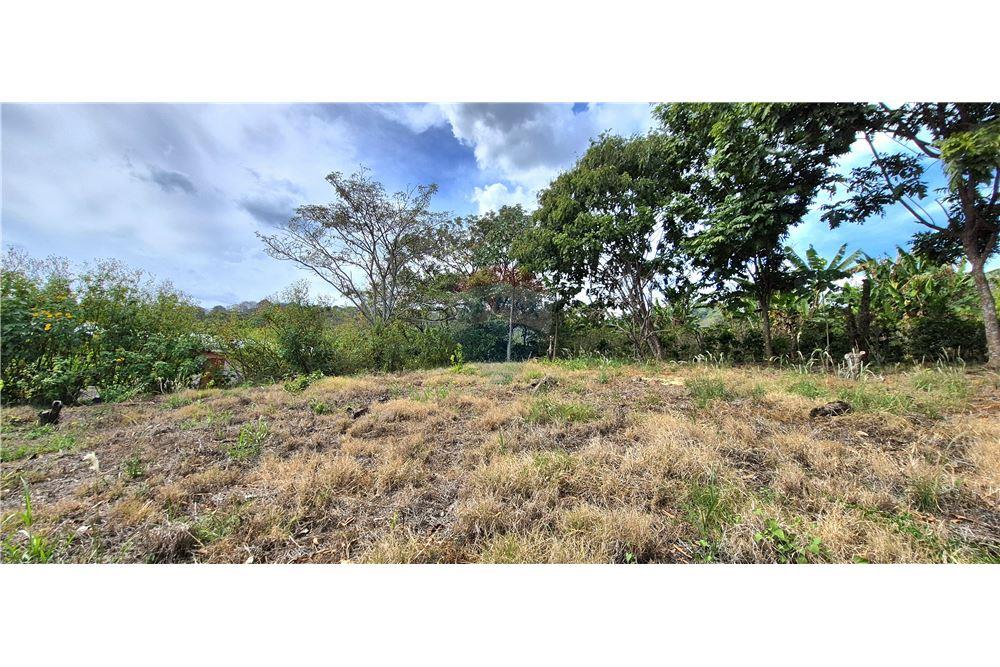 Commercieel - Grond - Atenas, Alajuela- Atenas, Costa Rica - Caribbean & Central Ameri - 8 - 90128007-198