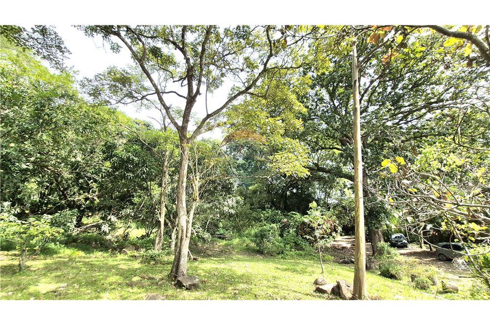 Residential - Villa - Atenas, Alajuela- Atenas, Costa Rica - Caribbean & Central Ameri - 14 - 90128007-190