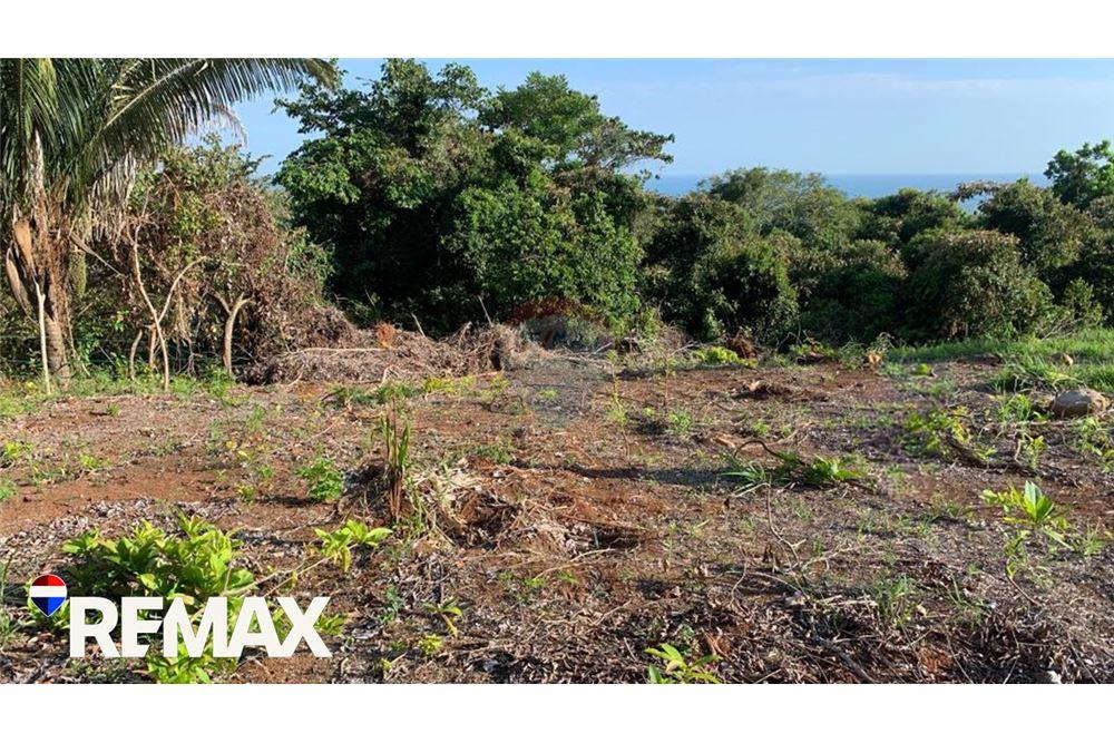 商业 - 土地 - Parrita - Esterillos, Puntarenas - Parrita, 哥斯达黎加 - Caribbean & Central Ameri - 5 - 90168013-172