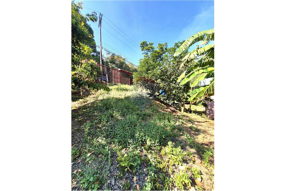 Commercial - Land - Atenas, Alajuela- Atenas, Costa Rica - Caribbean & Central Ameri - 4 - 90128007-165