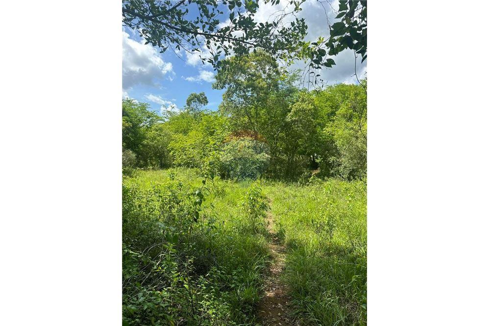 Land - For Sale - Santa Cruz, Saint Elizabeth, Jamaica - 4 - 901321002-8