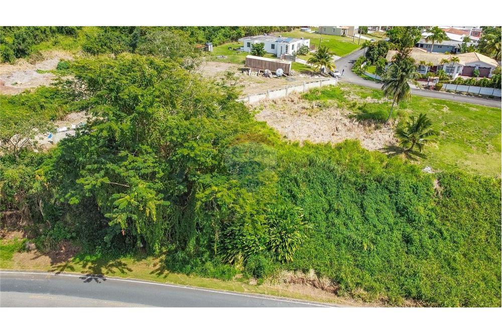 Commercial - Land - Hacienda Las Garzas, Rio Grande, Puerto Rico - Caribbean & Central Ameri - 5 - 902461007-10