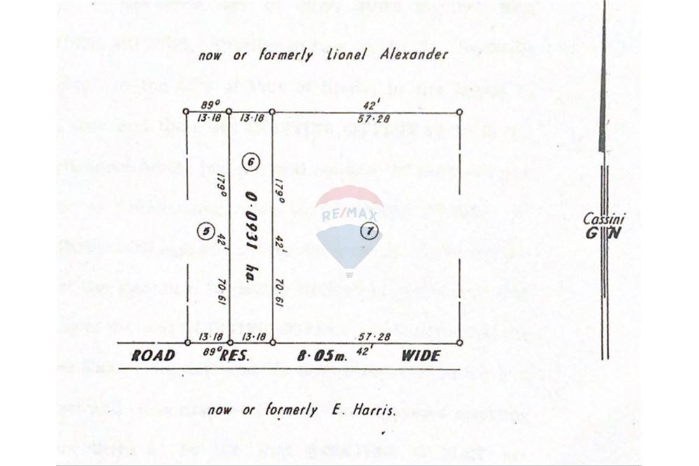 Grondstuk - Te Koop - Sangre Grande, Saint Andrew, Trinidad and Tobago - 3 - 90155109-184