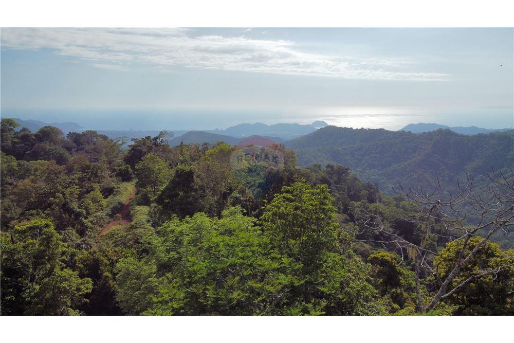 Surface commerciale - Autre terrain - San José, San José, Costa Rica - Caribbean & Central Ameri - 19 - 90168030-68