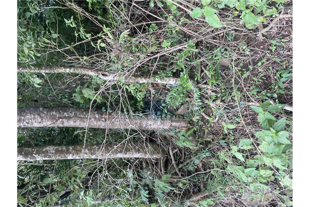 Lote - Venta - Gros Islet, Gros-Islet, St Lucia - 2 - 902071001-213