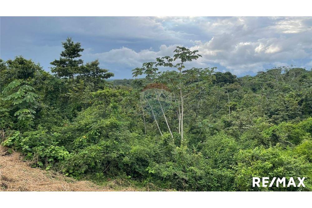 Commercio - Terreno - Puntarenas, Puntarenas - Puntarenas, Costa Rica - Caribbean & Central Ameri - 11 - 90168045-6