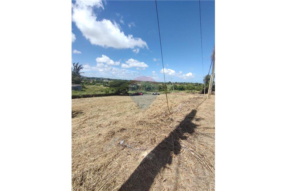 Commercial - Land - Isabela, Isabela, Puerto Rico - Caribbean & Central Ameri - 4 - 902461013-9
