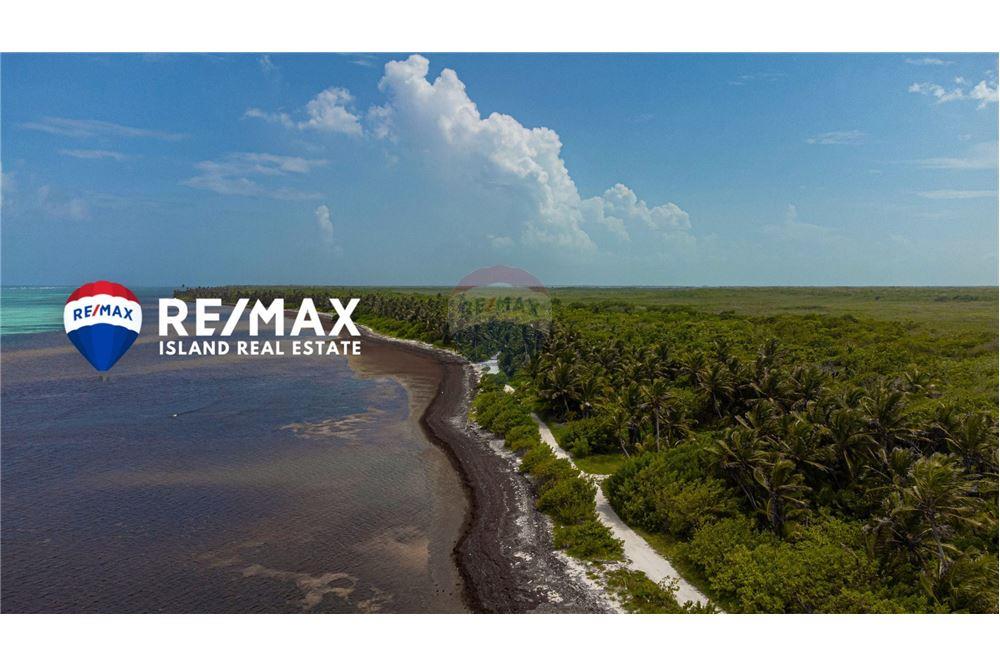 Commercial - Land - Ambergris Caye, Ambergris Caye, Belize - Caribbean & Central Ameri - 5 - 90135015-93