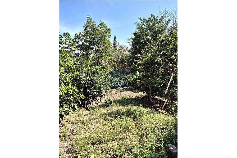 Commercial - Land - Atenas, Alajuela- Atenas, Costa Rica - Caribbean & Central Ameri - 5 - 90128007-165