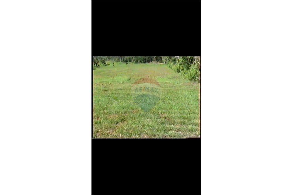 Land - For Sale - Dorado, Dorado, Puerto Rico - 6 - 90102025-331