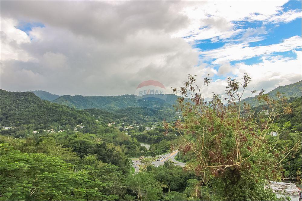 Residential - Villa - Naranjito, Naranjito, Puerto Rico - Caribbean & Central Ameri - 25 - 902461001-93