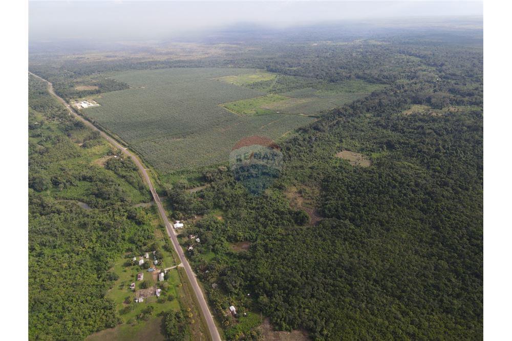 Comercial - Terrenos - Bella Vista, Toledo District, Belize - Caribbean & Central Ameri - 6 - 90127022-85