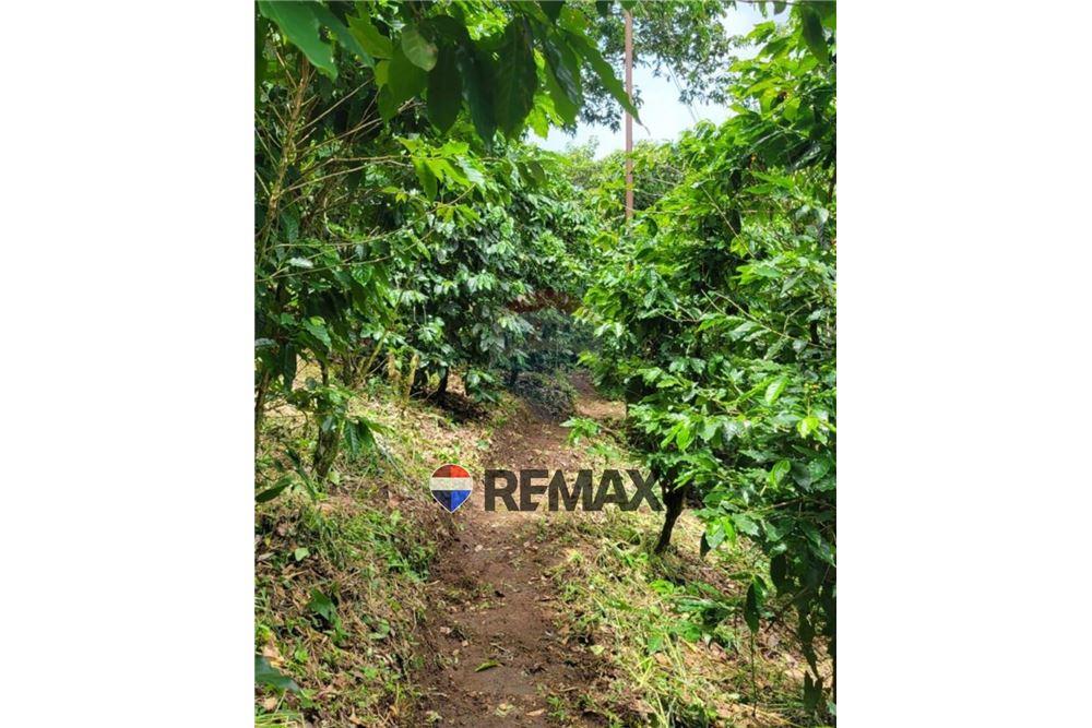 Grondstuk - Te Koop - San Martín, San Salvador, El Salvador - 2 - 902501008-22