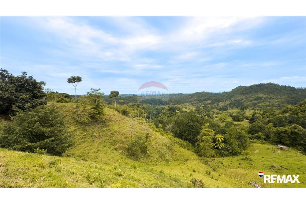 Comercial - Terreno - Parrita, Puntarenas - Parrita, Costa Rica - Caribbean & Central Ameri - 19 - 90168003-467