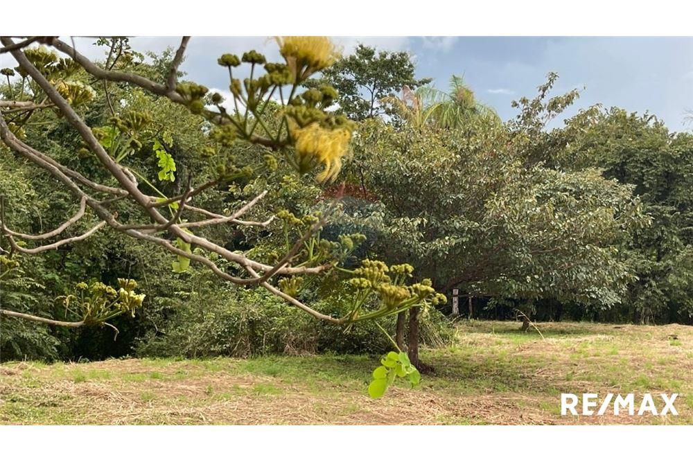 Commercio - Terreno - Puntarenas, Puntarenas - Puntarenas, Costa Rica - Caribbean & Central Ameri - 4 - 90168045-6
