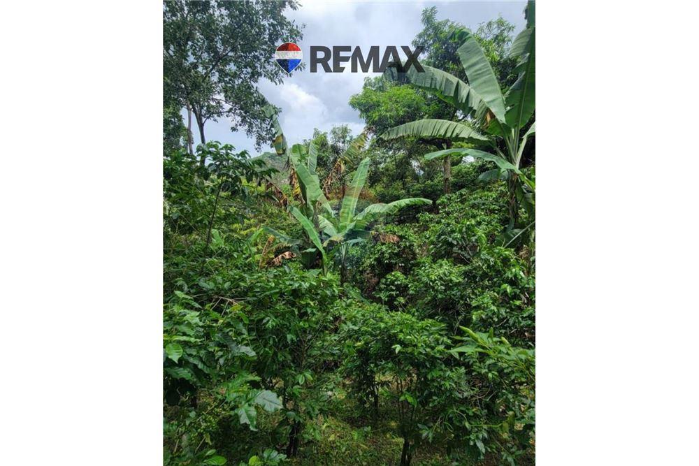 Land - For Sale - San Martin, San Salvador, El Salvador - 7 - 902501008-20