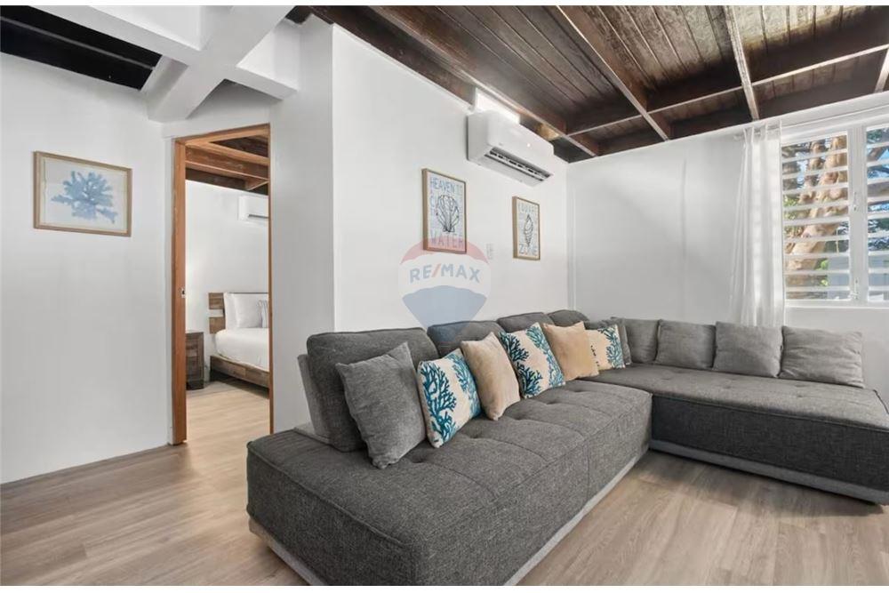 Volledig pand - Te Koop - Naguabo, Naguabo, Puerto Rico - 5 - 90102037-10