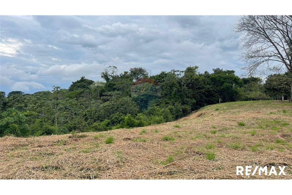 Commercio - Terreno - Puntarenas, Puntarenas - Puntarenas, Costa Rica - Caribbean & Central Ameri - 22 - 90168045-6