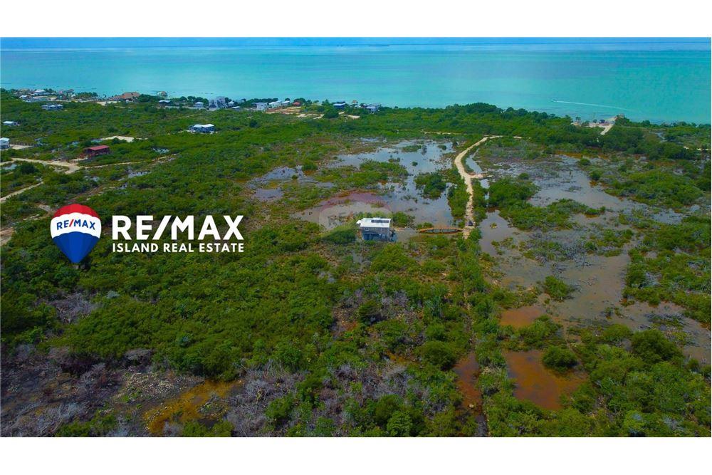 Commercial - Land - Ambergris Caye, Ambergris Caye, Belize - Caribbean & Central Ameri - 2 - 90135024-4