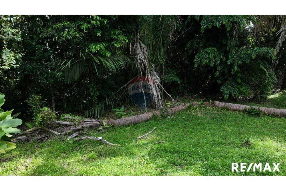 Comercial - Terreno - Parrita, Puntarenas - Parrita, Costa Rica - Caribbean & Central Ameri - 9 - 90168045-21