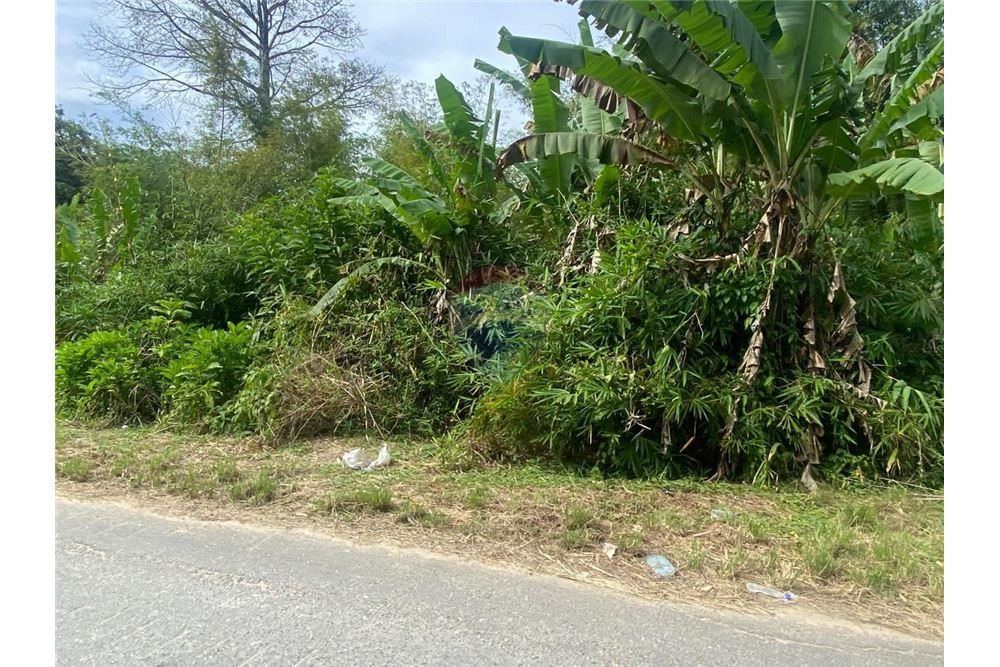 Lote - Venta - Tabaquite, Caroni, Trinidad and Tobago - 8 - 90155109-147