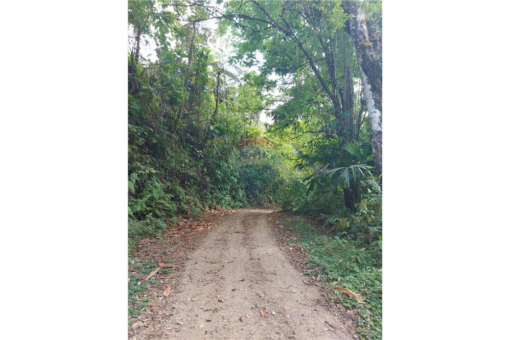 Surface commerciale - Autre terrain - San José, San José, Costa Rica - Caribbean & Central Ameri - 22 - 90168030-68