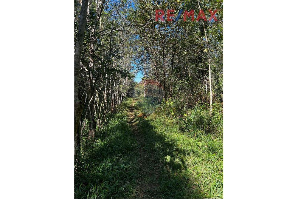 Land - For Sale - Poptún, Petén, Guatemala - 14 - 902691018-30