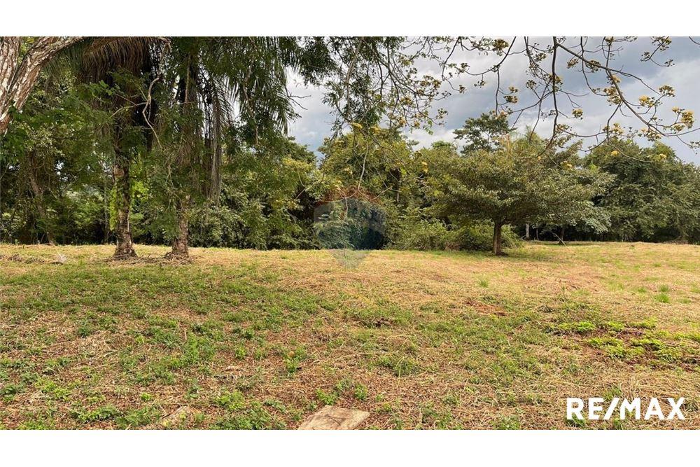 Commercio - Terreno - Puntarenas, Puntarenas - Puntarenas, Costa Rica - Caribbean & Central Ameri - 25 - 90168045-6