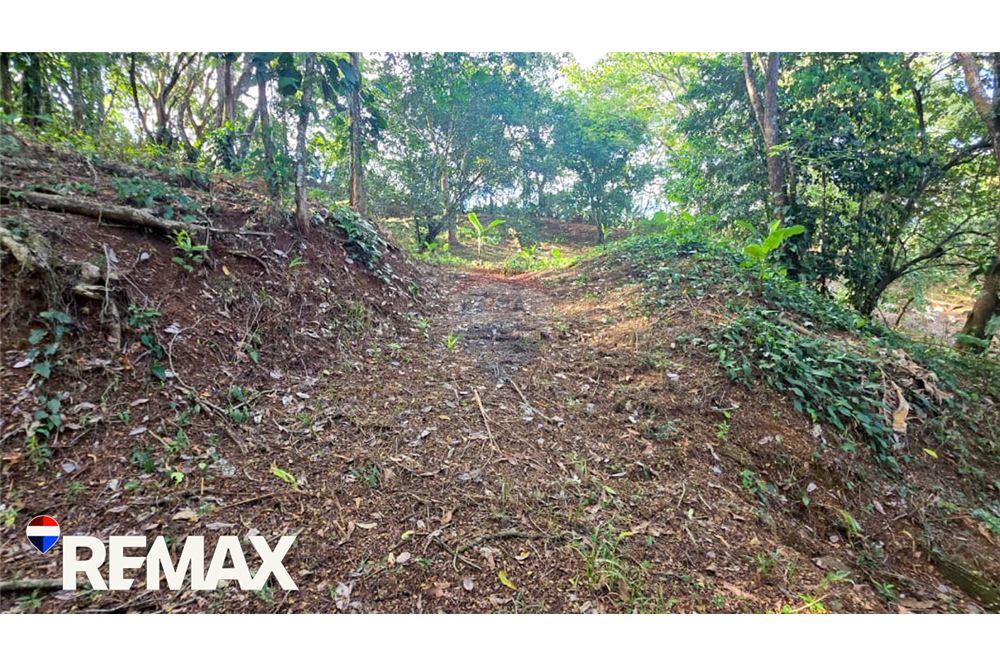 Commercio - Commerciale/Negozi - Jaco - Herradura, Puntarenas- Garabito, Costa Rica - Caribbean & Central Ameri - 7 - 90168013-183