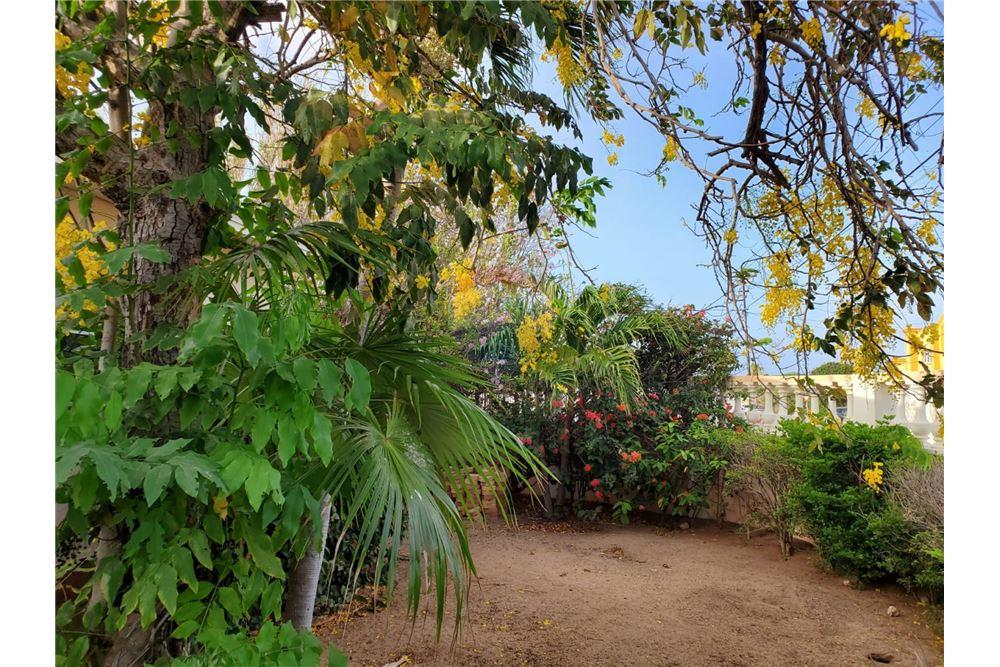 Villa - For Sale - Oranjestad, Aruba, Aruba - 56183 - 90105035-31