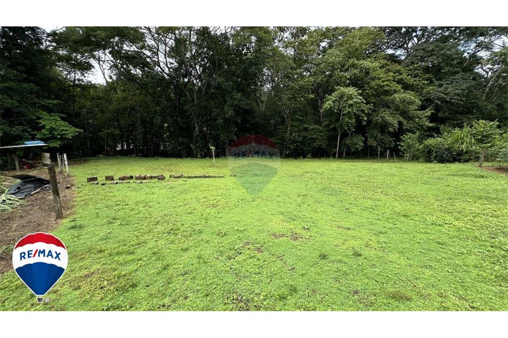 Commercio - Terreno - San José, San José, Costa Rica - Caribbean & Central Ameri - 19 - 90168030-67