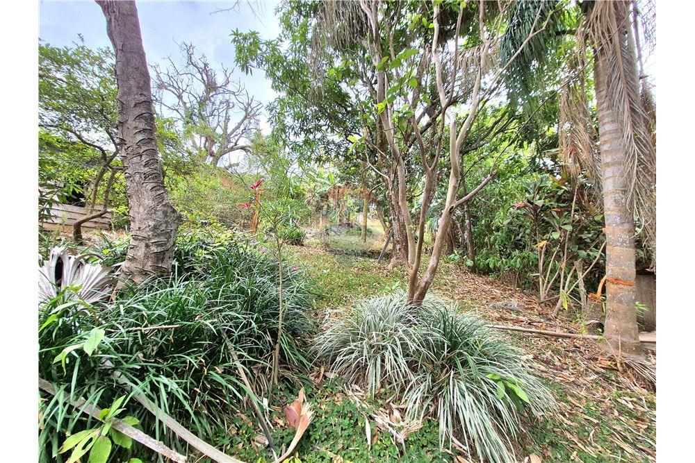 Residential - Villa - Atenas, Alajuela- Atenas, Costa Rica - Caribbean & Central Ameri - 12 - 90128007-171