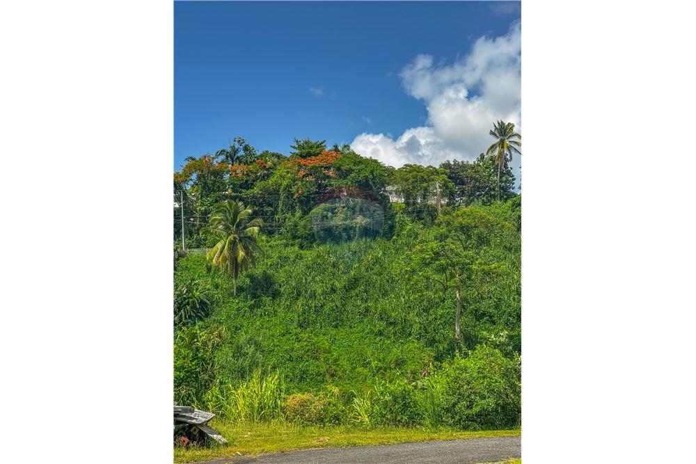 Commercial - Land - Rio Grande, Rio Grande, Puerto Rico - Caribbean & Central Ameri - 2 - 902461010-8