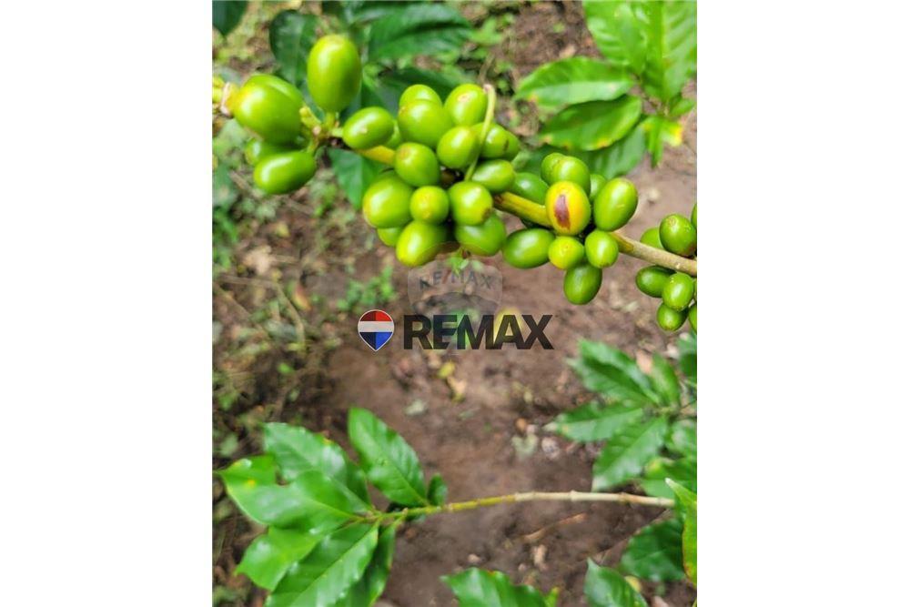 Grondstuk - Te Koop - San Martín, San Salvador, El Salvador - 6 - 902501008-22