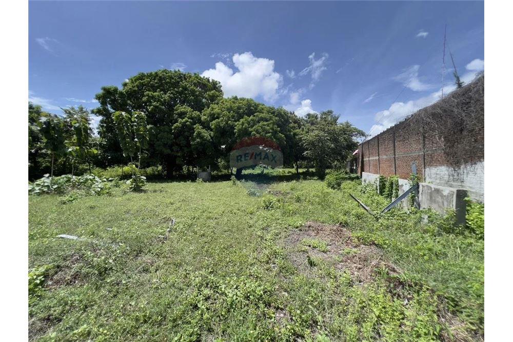 Commercial - Commercial/Retail - Rivas, Rivas, Nicaragua - Caribbean & Central Ameri - 15 - 90119008-101