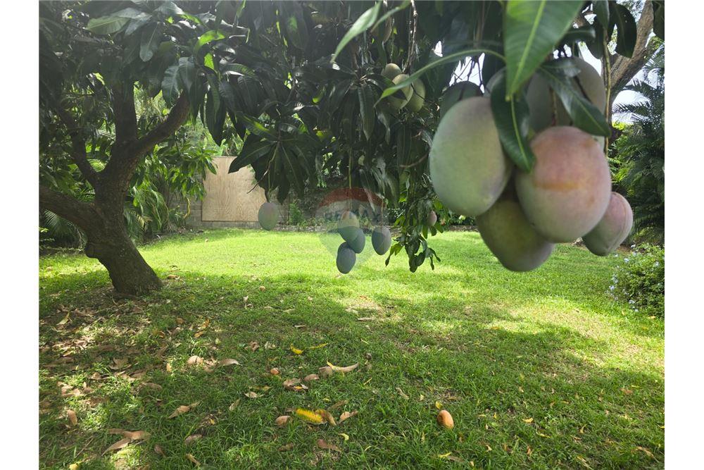 Residential - Villa - Gros Islet, Gros-Islet, St Lucia - Caribbean & Central Ameri - 32 - 902071001-218