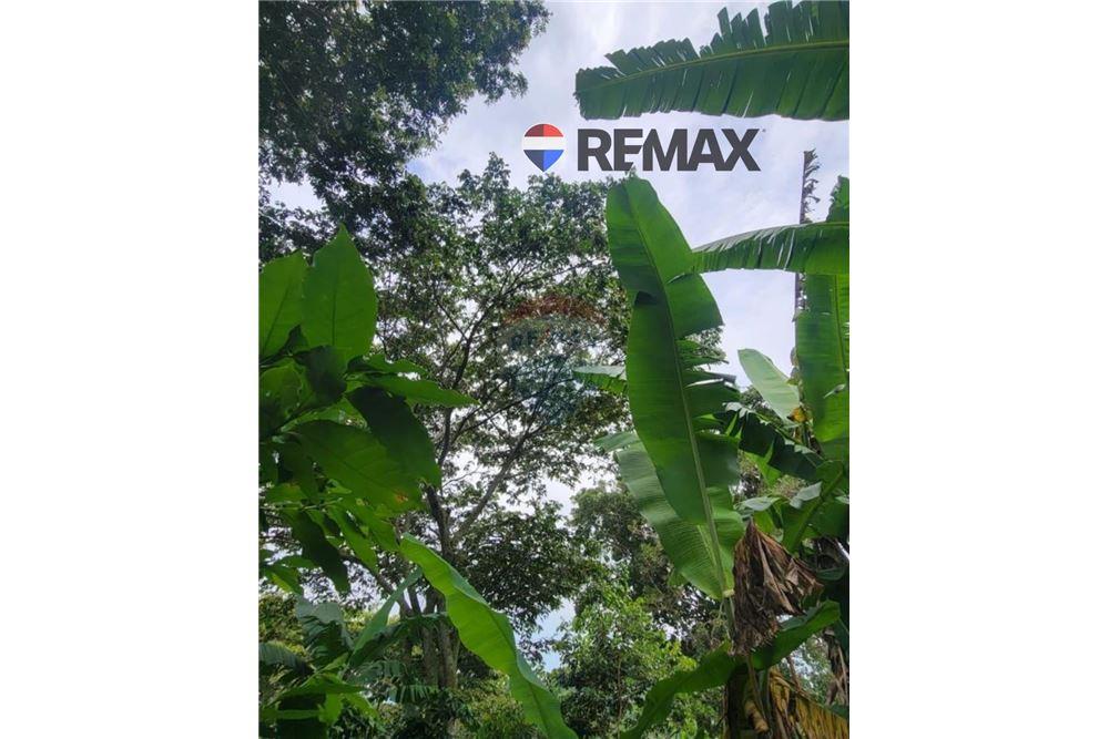 Land - For Sale - San Martin, San Salvador, El Salvador - 5 - 902501008-20