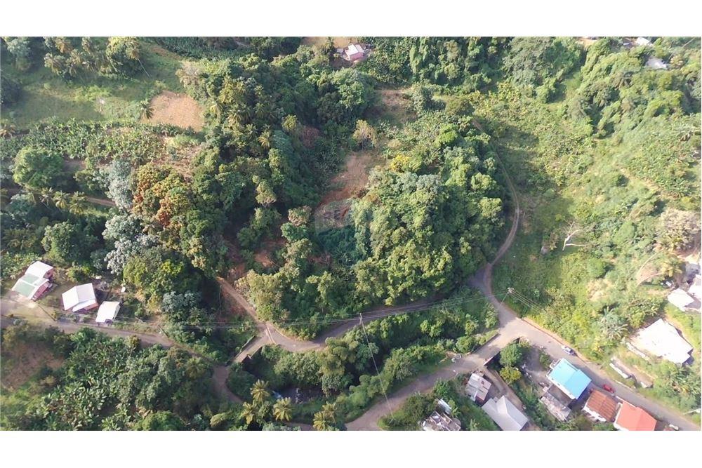 Comercial - Terrenos - Adelphi, St Vincent, St Vincent and the Grenadines - Caribbean & Central Ameri - 7 - 90109004-59