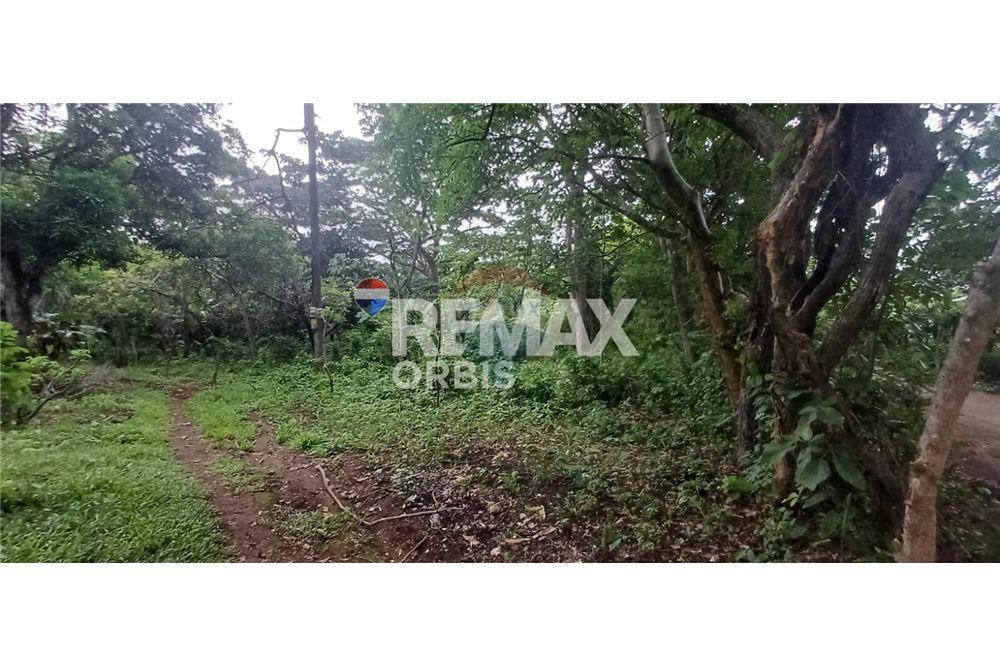 Land - For Sale - Managua, Managua, Nicaragua - 1 - 902681009-4