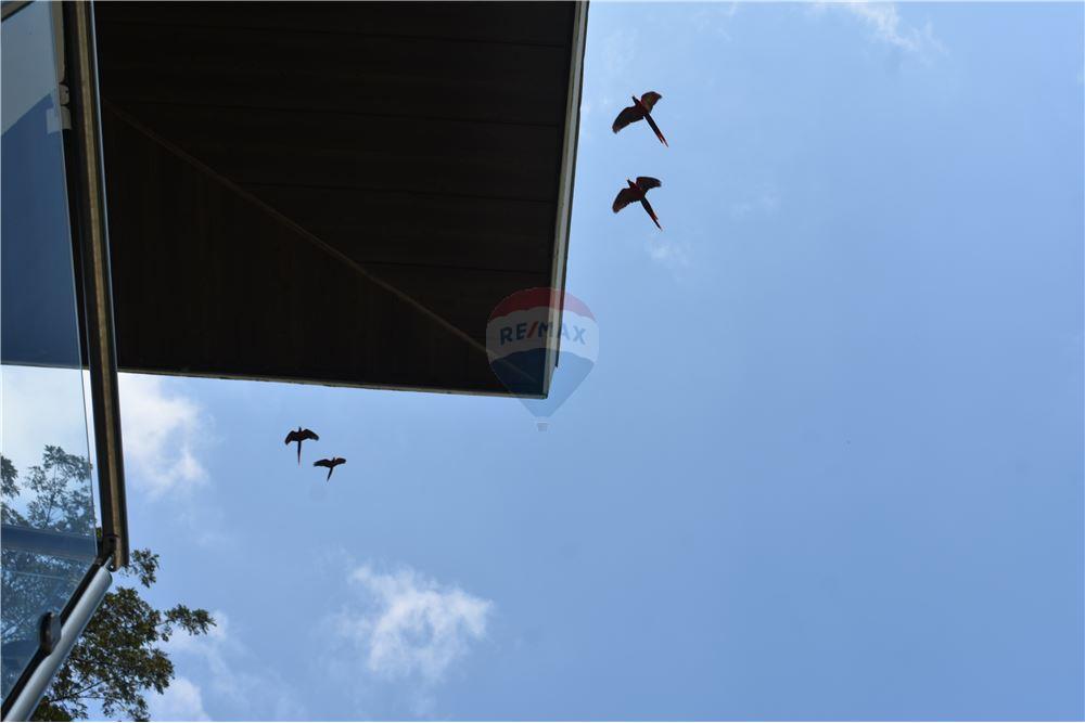 Residencial - Villa - Tarcoles - Punta Leona, Puntarenas- Garabito, Costa Rica - Caribbean & Central Ameri - 29 - 90168042-11