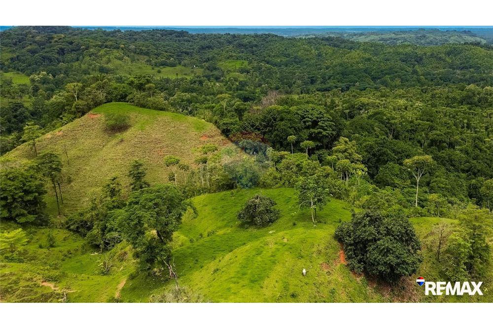 Comercial - Terreno - Parrita, Puntarenas - Parrita, Costa Rica - Caribbean & Central Ameri - 3 - 90168003-467