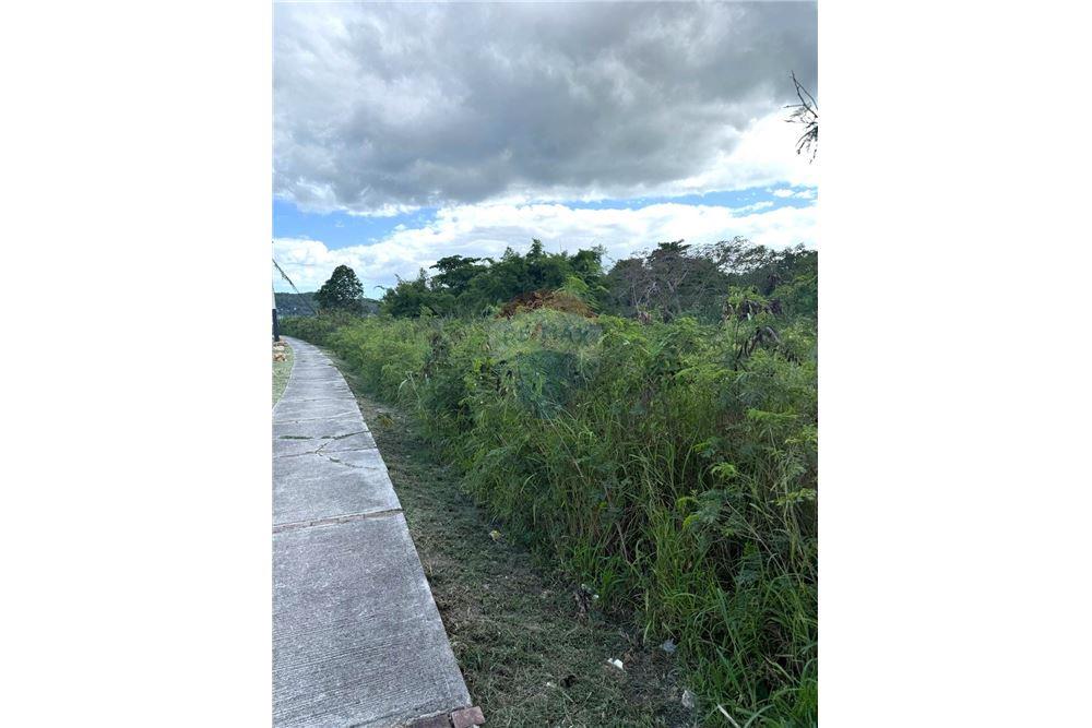 Land - For Sale - Yauco, Yauco, Puerto Rico - 3 - 90102025-332