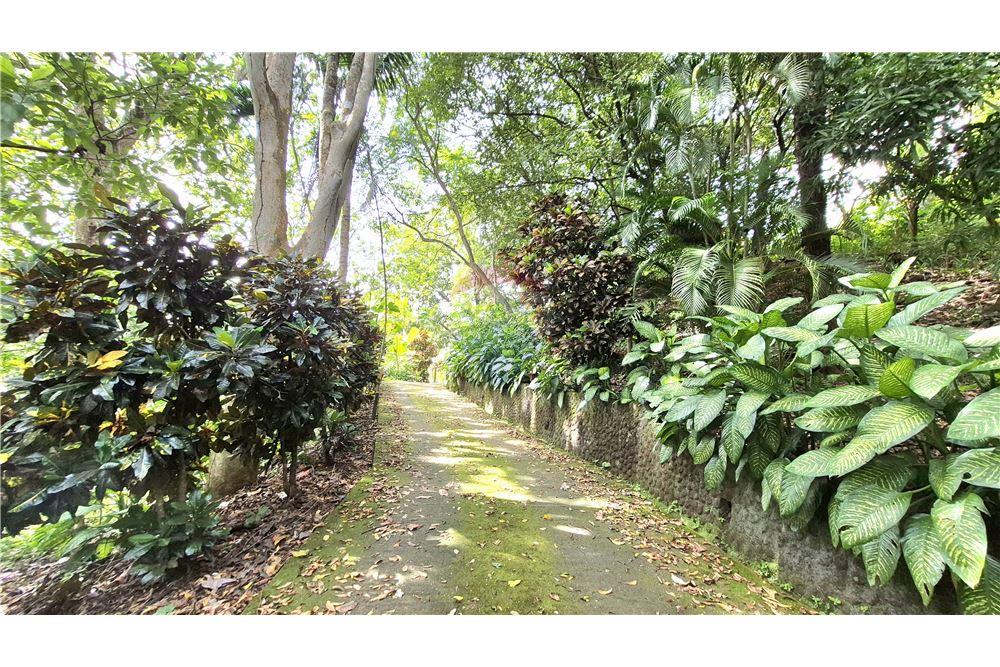 Residential - Villa - Atenas, Alajuela- Atenas, Costa Rica - Caribbean & Central Ameri - 24 - 90128007-190