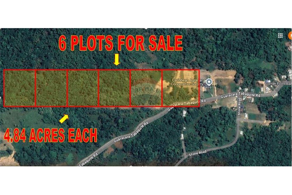 Land - For Sale - Tabaquite, Caroni, Trinidad and Tobago - 2 - 90155109-151