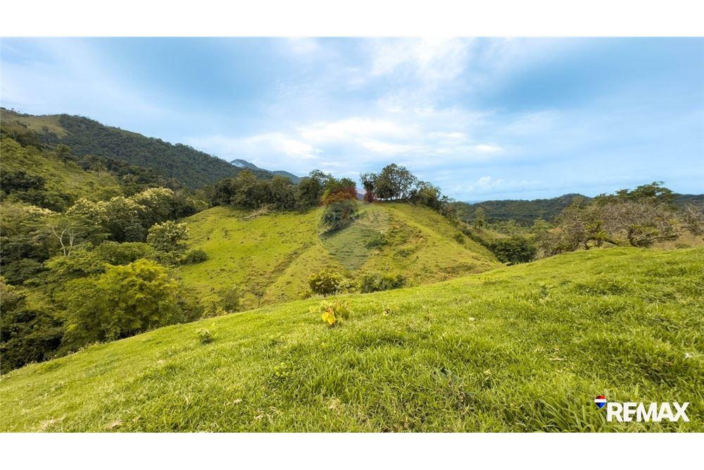 Comercial - Terreno - Parrita, Puntarenas - Parrita, Costa Rica - Caribbean & Central Ameri - 20 - 90168003-467