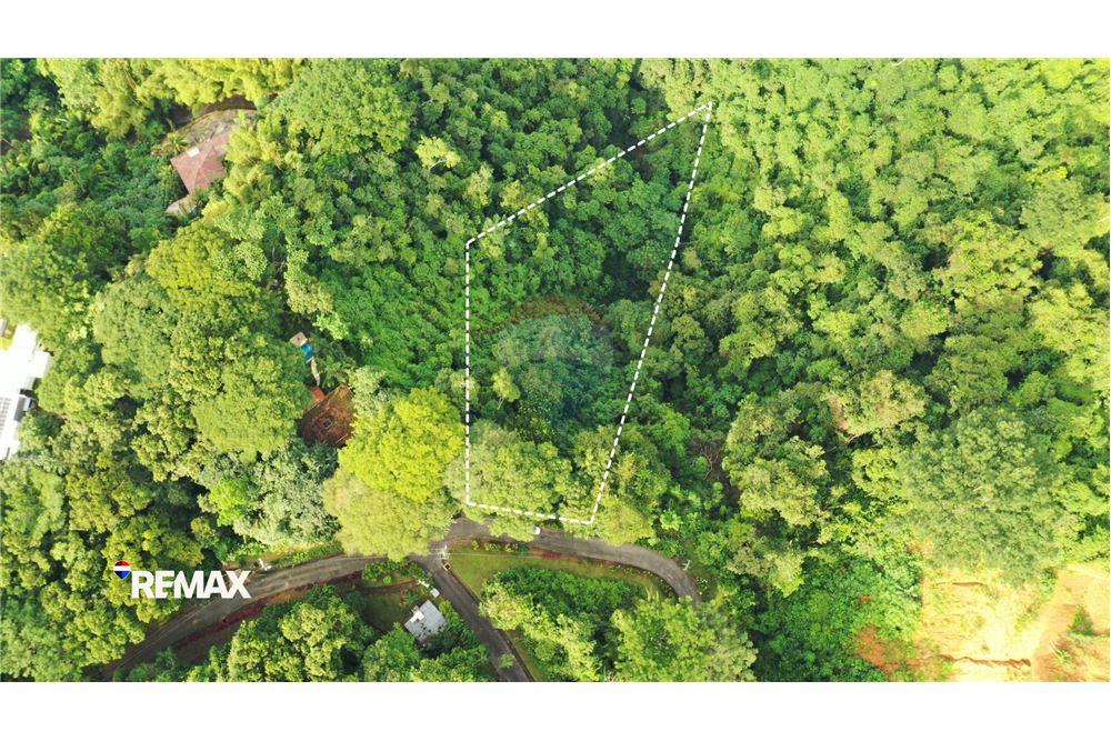 商业 - 土地 - Puntarenas, Puntarenas - Puntarenas, 哥斯达黎加 - Caribbean & Central Ameri - 1 - 90168041-27